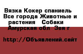 Вязка Кокер спаниель - Все города Животные и растения » Собаки   . Амурская обл.,Зея г.